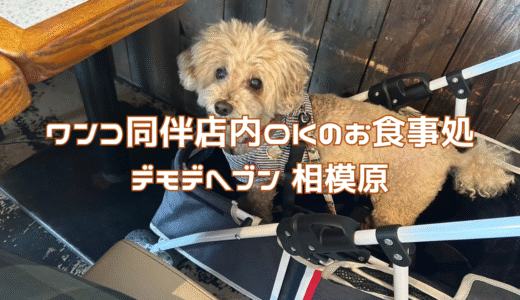 神奈川にあるおしゃれなアメリカンスタイル『デモデヘブン　相模原店』
