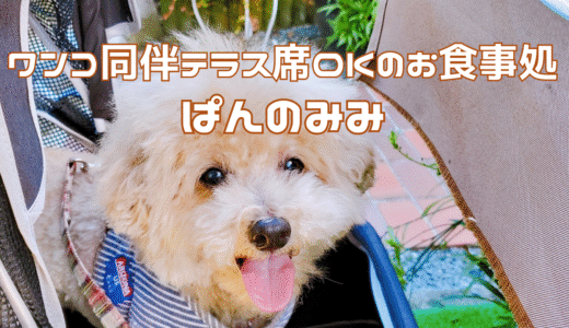 箱根でほっこり♪大きなパングラタンが有名な『ぱんのみみ』