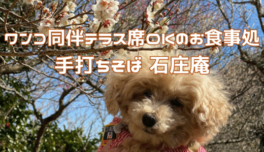 丹沢の四季とともに…わんこと楽しむ隠れ家そば処『石庄庵』