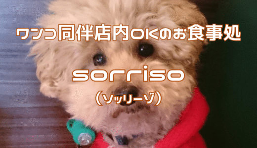 わんこ用パスタも!? 愛犬と楽しむ本格イタリアン『SORRISO』