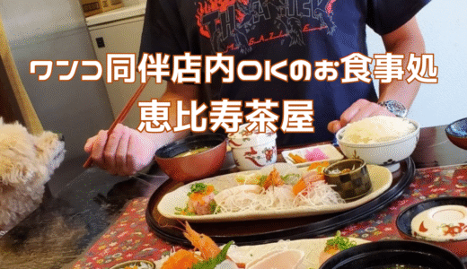 湯河原でわんこと味わう魚介たっぷりごはん『恵比寿茶屋』