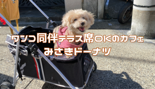 【わんこと行ける】三浦の「みさきドーナツ」で休日カフェめぐり