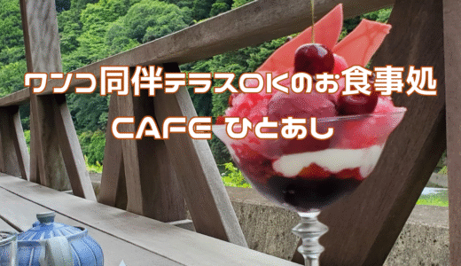 小田原からふらっと行ける自然カフェ『カフェひとあし』